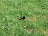 dscf2663.jpg
